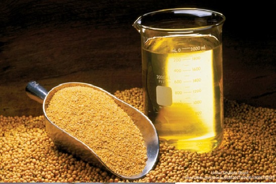 Soyabean Oil