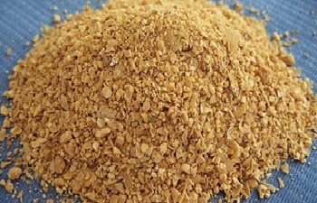 SOYA DOC